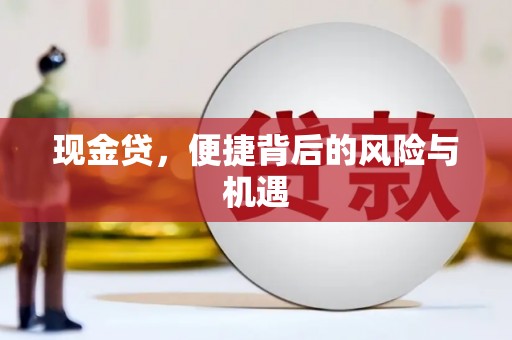 宁阳现金贷，便捷背后的风险与机遇