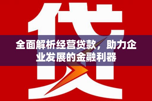 宁阳全面解析经营贷款，助力企业发展的金融利器
