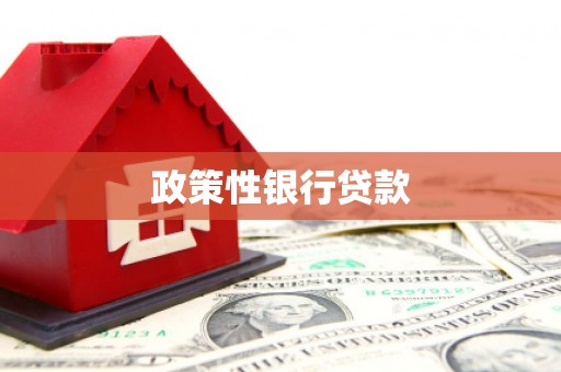 宁阳政策性银行贷款