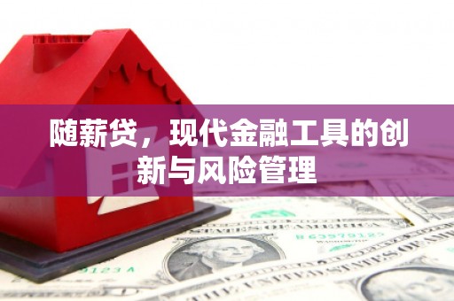 宁阳随薪贷，现代金融工具的创新与风险管理