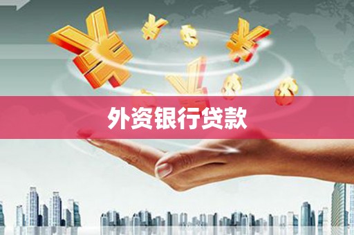 宁阳外资银行贷款