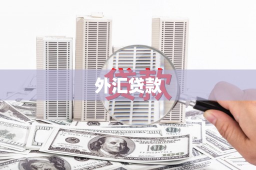 宁阳外汇贷款