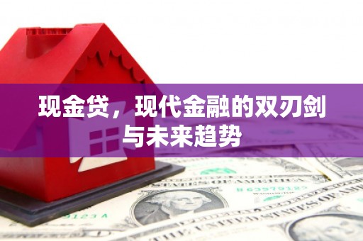 宁阳现金贷，现代金融的双刃剑与未来趋势