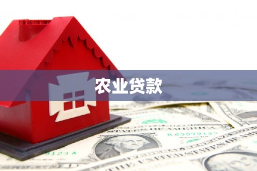 宁阳农业贷款