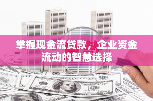 宁阳掌握现金流贷款，企业资金流动的智慧选择
