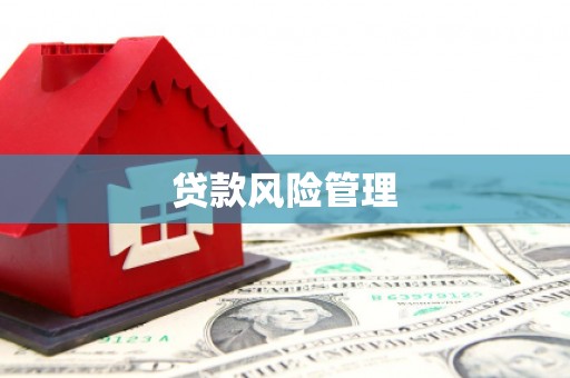宁阳贷款风险管理