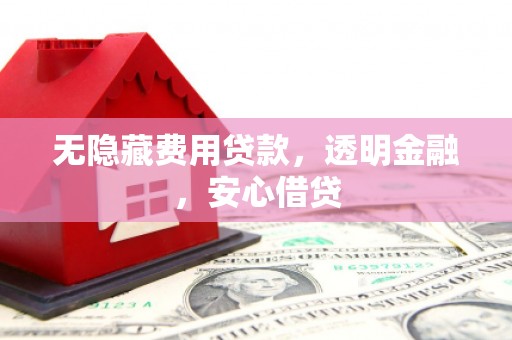 宁阳无隐藏费用贷款，透明金融，安心借贷