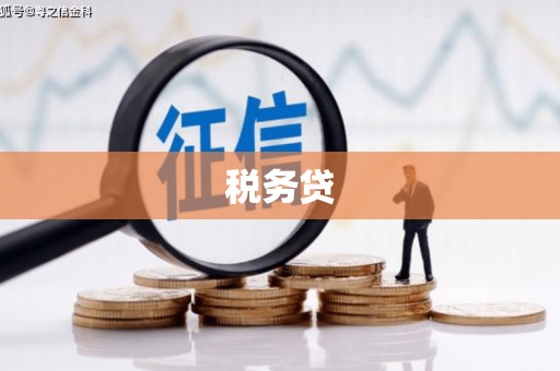 宁阳税务贷