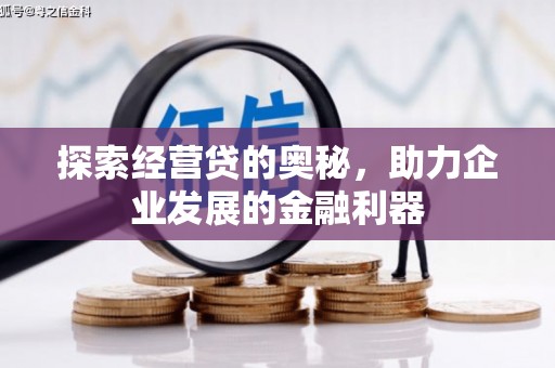 宁阳探索经营贷的奥秘，助力企业发展的金融利器