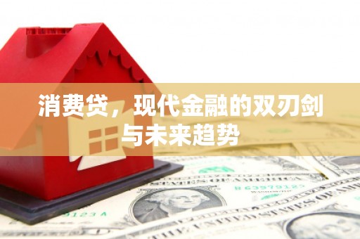 宁阳消费贷，现代金融的双刃剑与未来趋势