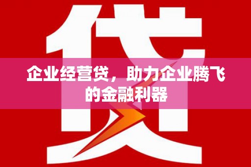 宁阳企业经营贷，助力企业腾飞的金融利器