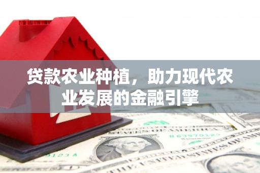 宁阳贷款农业种植，助力现代农业发展的金融引擎