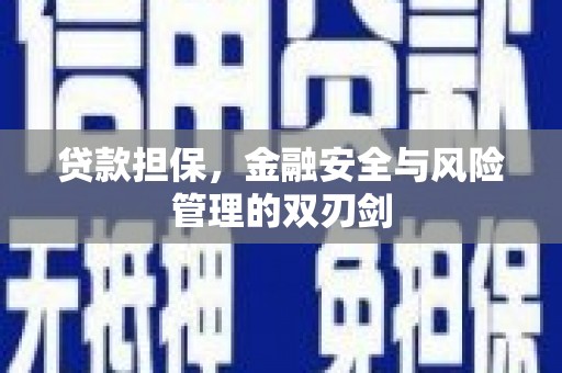 宁阳贷款担保，金融安全与风险管理的双刃剑