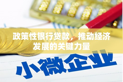 宁阳政策性银行贷款，推动经济发展的关键力量