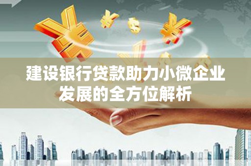 宁阳建设银行贷款助力小微企业发展的全方位解析