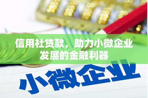 宁阳信用社贷款，助力小微企业发展的金融利器