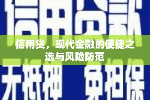 宁阳信用贷，现代金融的便捷之选与风险防范