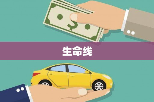 宁阳生命线
