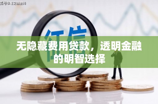宁阳无隐藏费用贷款，透明金融的明智选择