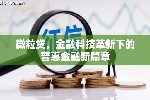 宁阳微粒贷，金融科技革新下的普惠金融新篇章