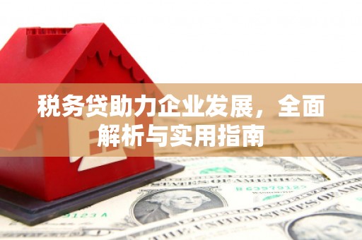宁阳税务贷助力企业发展，全面解析与实用指南