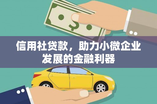 宁阳信用社贷款，助力小微企业发展的金融利器