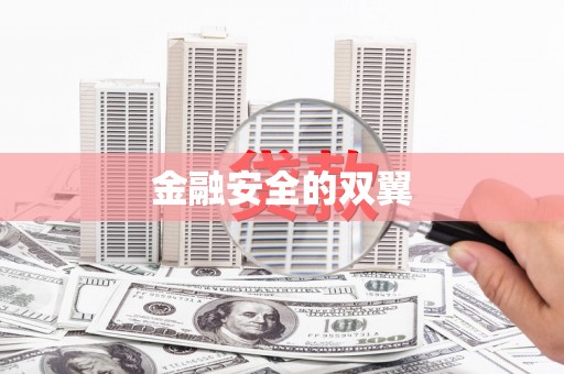 宁阳金融安全的双翼