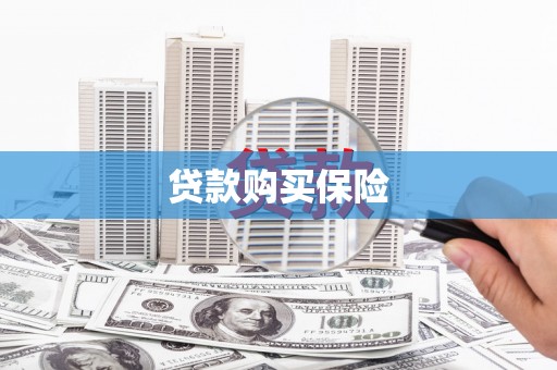 宁阳贷款购买保险