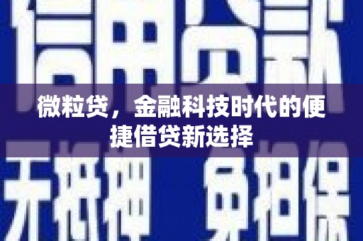 宁阳微粒贷，金融科技时代的便捷借贷新选择