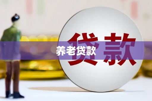 宁阳养老贷款