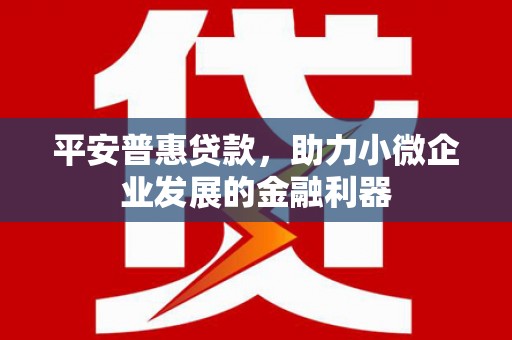 宁阳平安普惠贷款，助力小微企业发展的金融利器