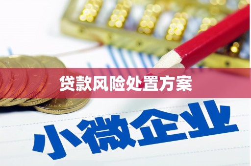 宁阳贷款风险处置方案