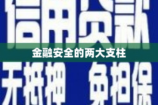 宁阳金融安全的两大支柱