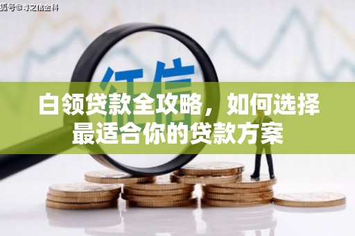 宁阳白领贷款全攻略，如何选择最适合你的贷款方案